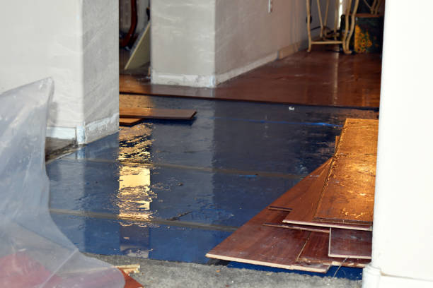 Professional Sewage Cleanup technician working in Montpelier, ND